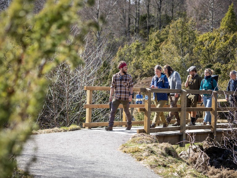 Guided rewilding walking