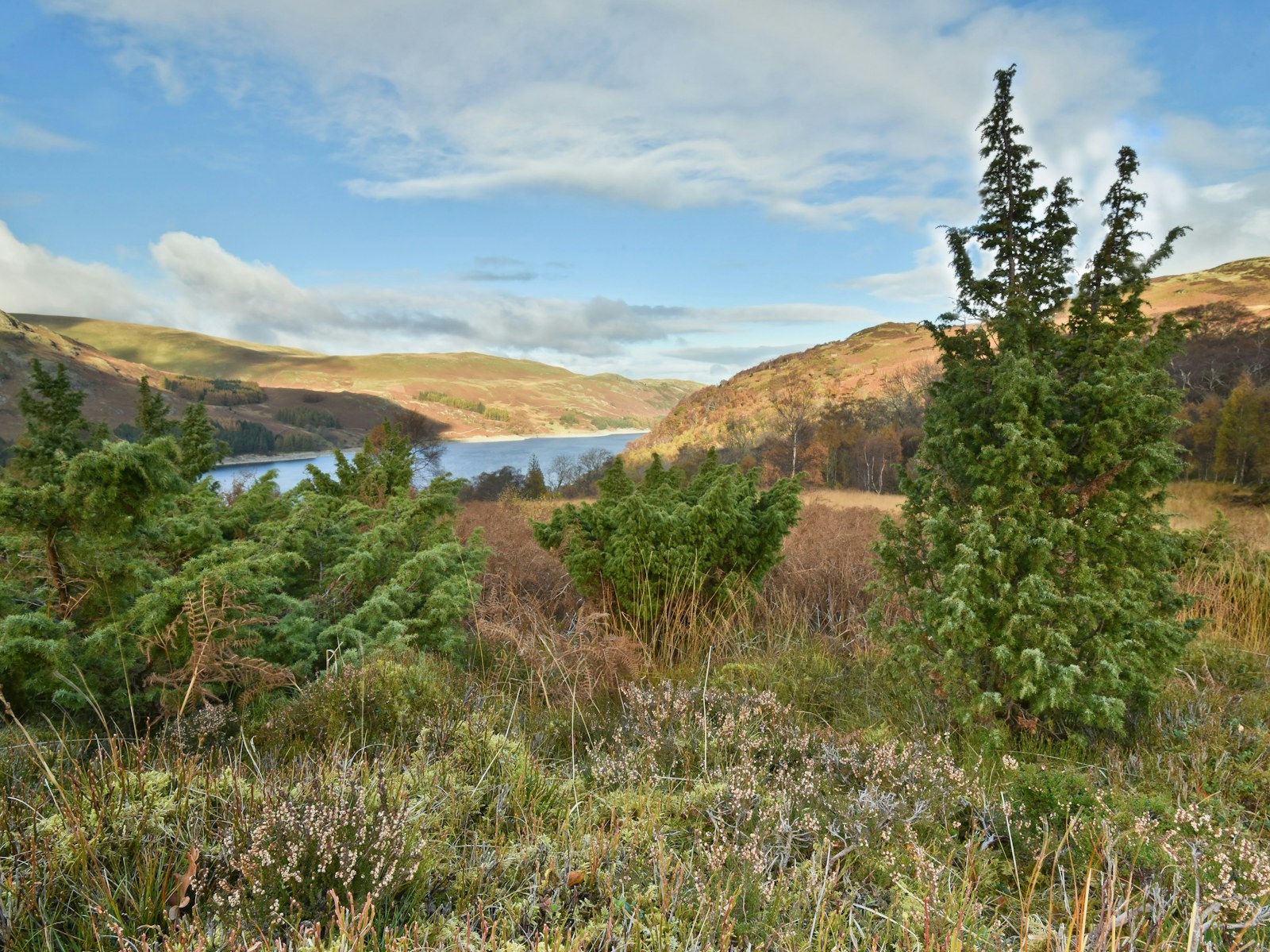 Haweswater