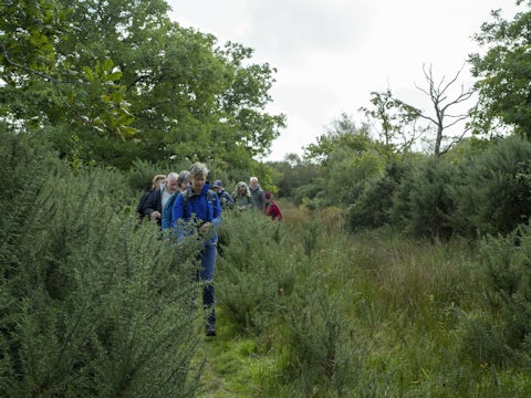 Helman tor people walking in landscape