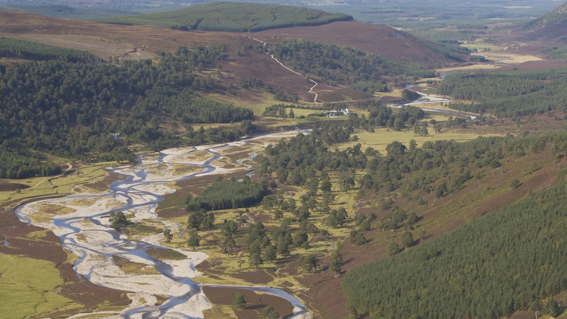 Glenfeshie landscape