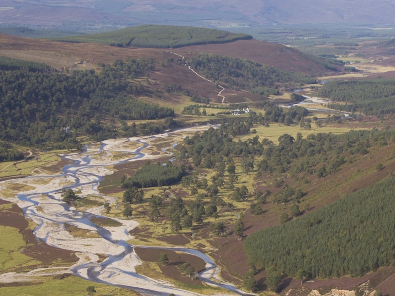 Glenfeshie landscape