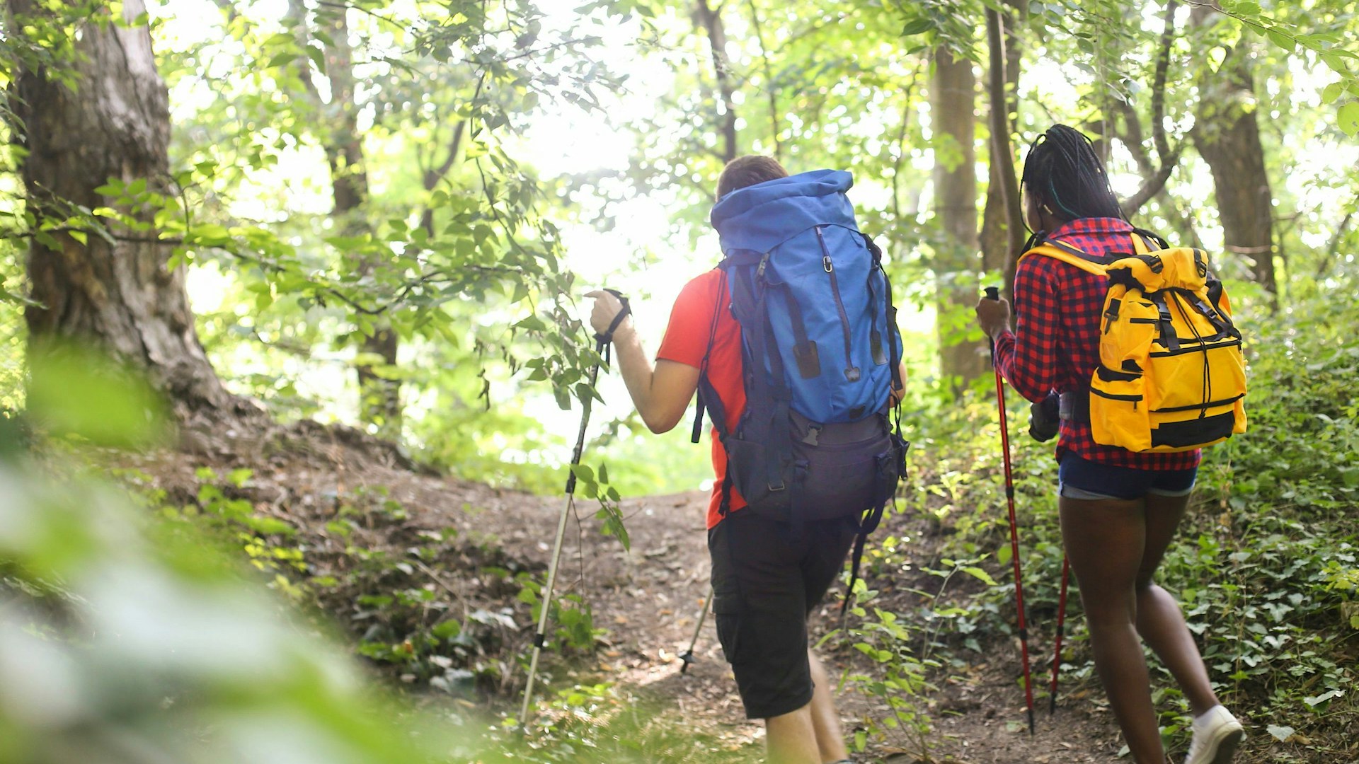 Two women hiking in the woods