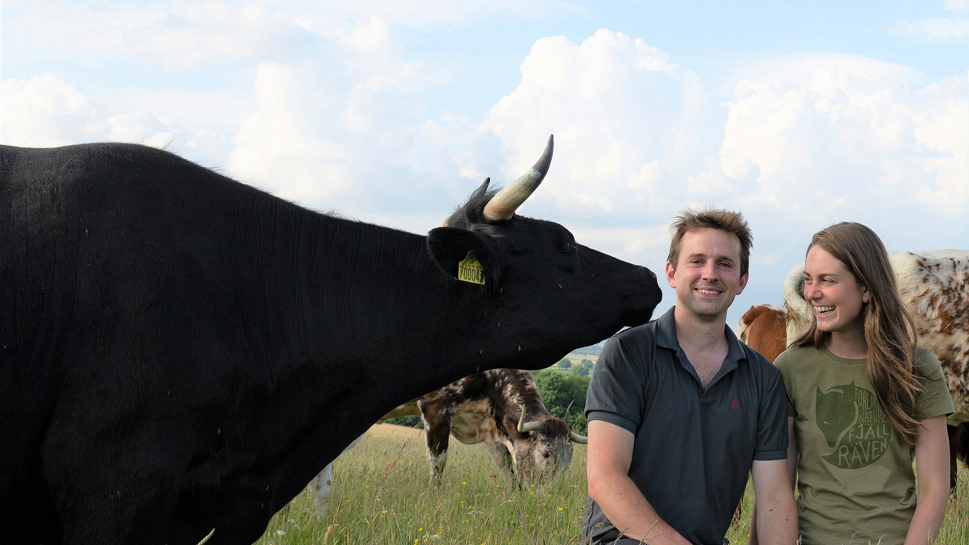 Horned beef company owners in field with cow