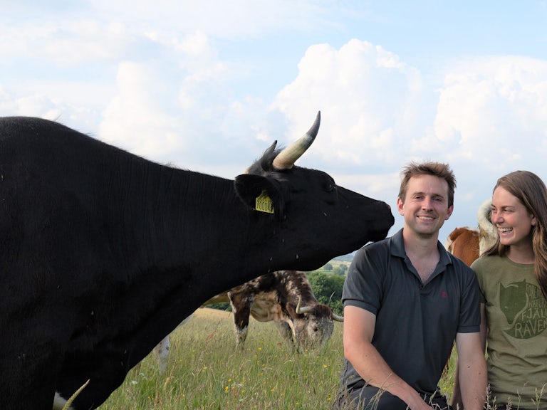 Horned beef company owners in field with cow