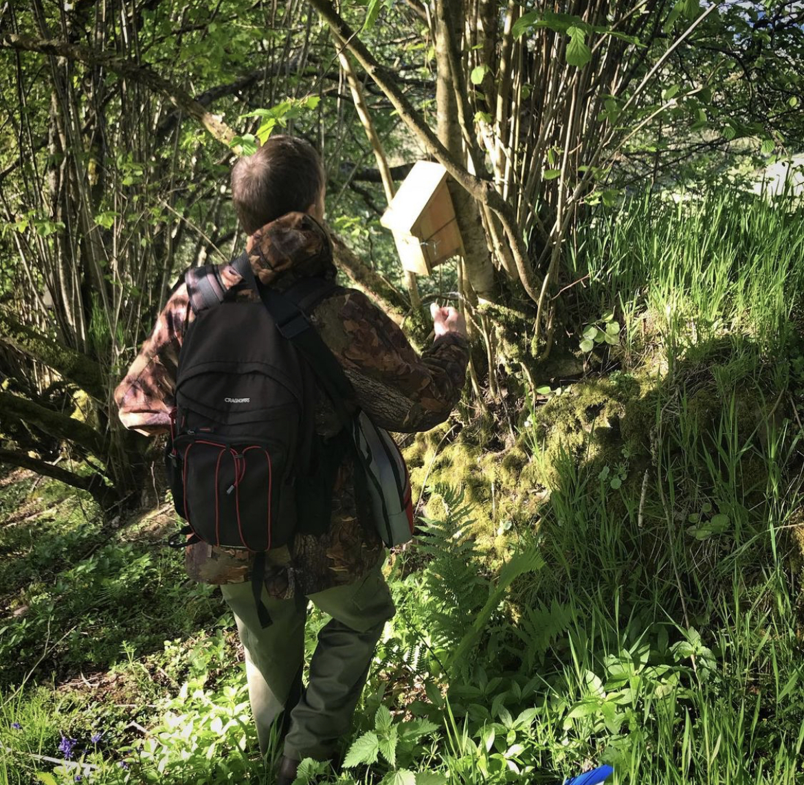 Human in woodland approaching a bird house at Cove Down Wilding Project, Devon