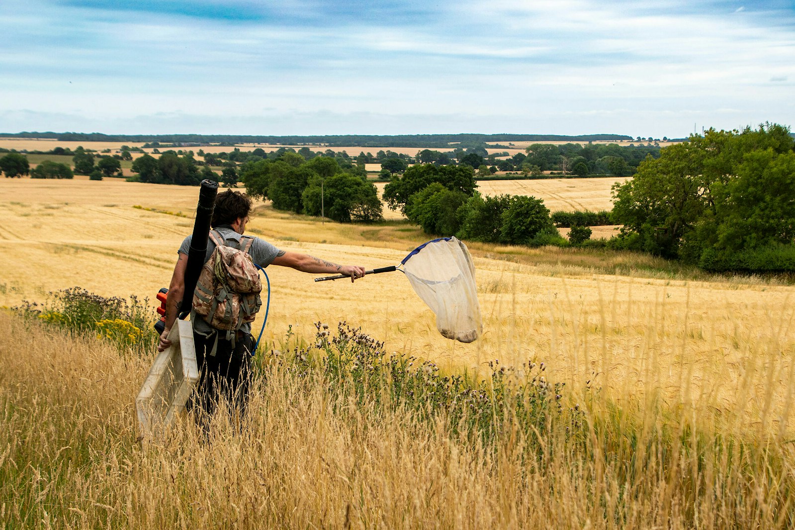 Man with a net surveying a grassland