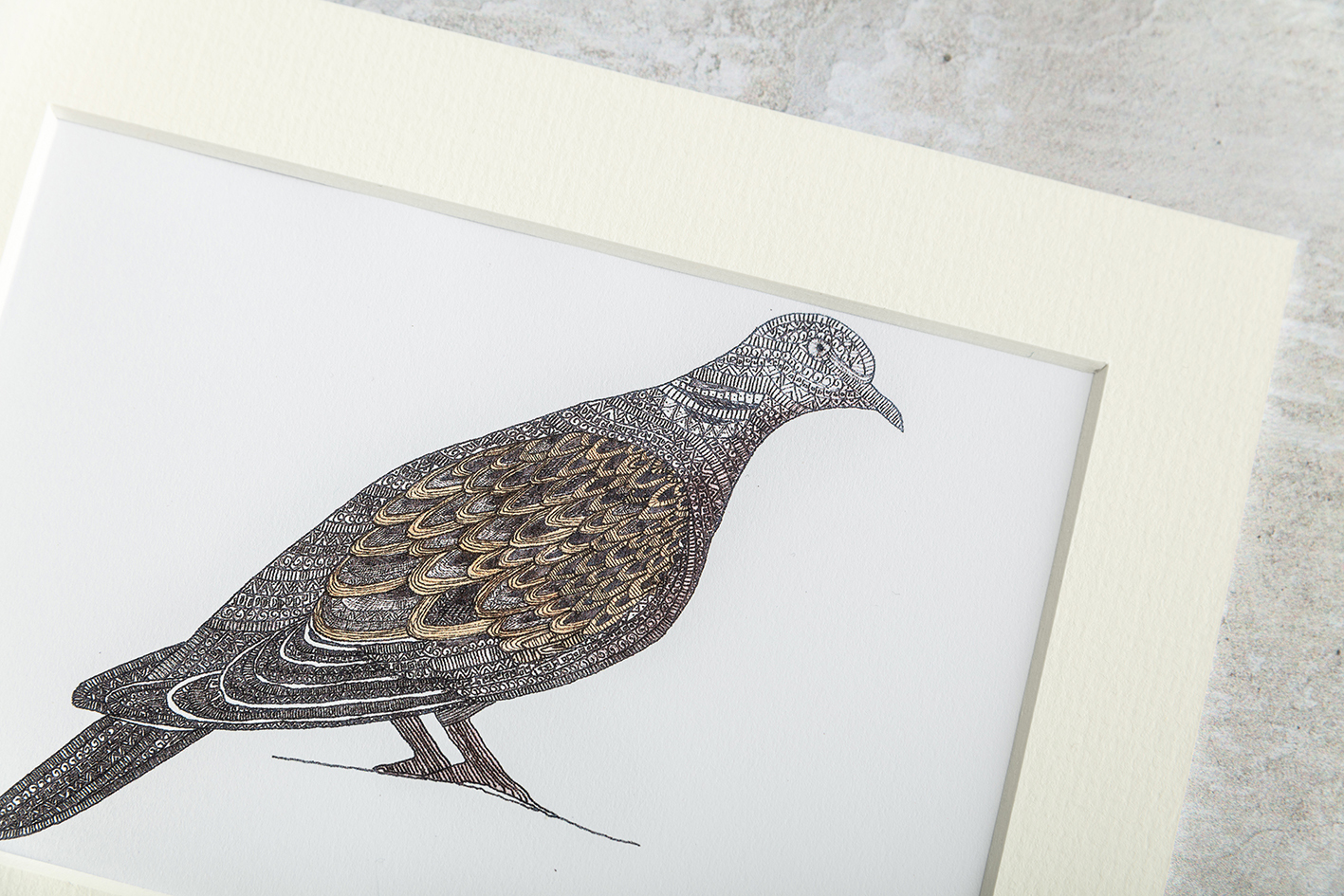 Turtle dove detail drawing by Katherine Jones