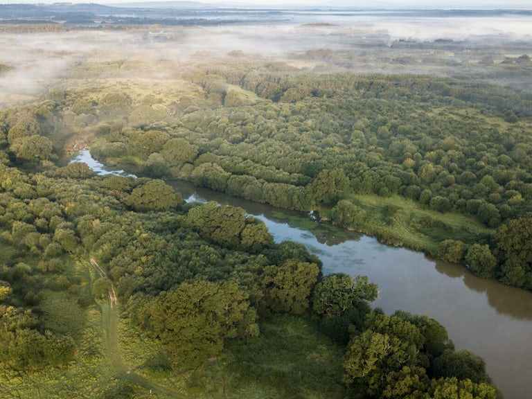 Aerial view of landscape at Knepp