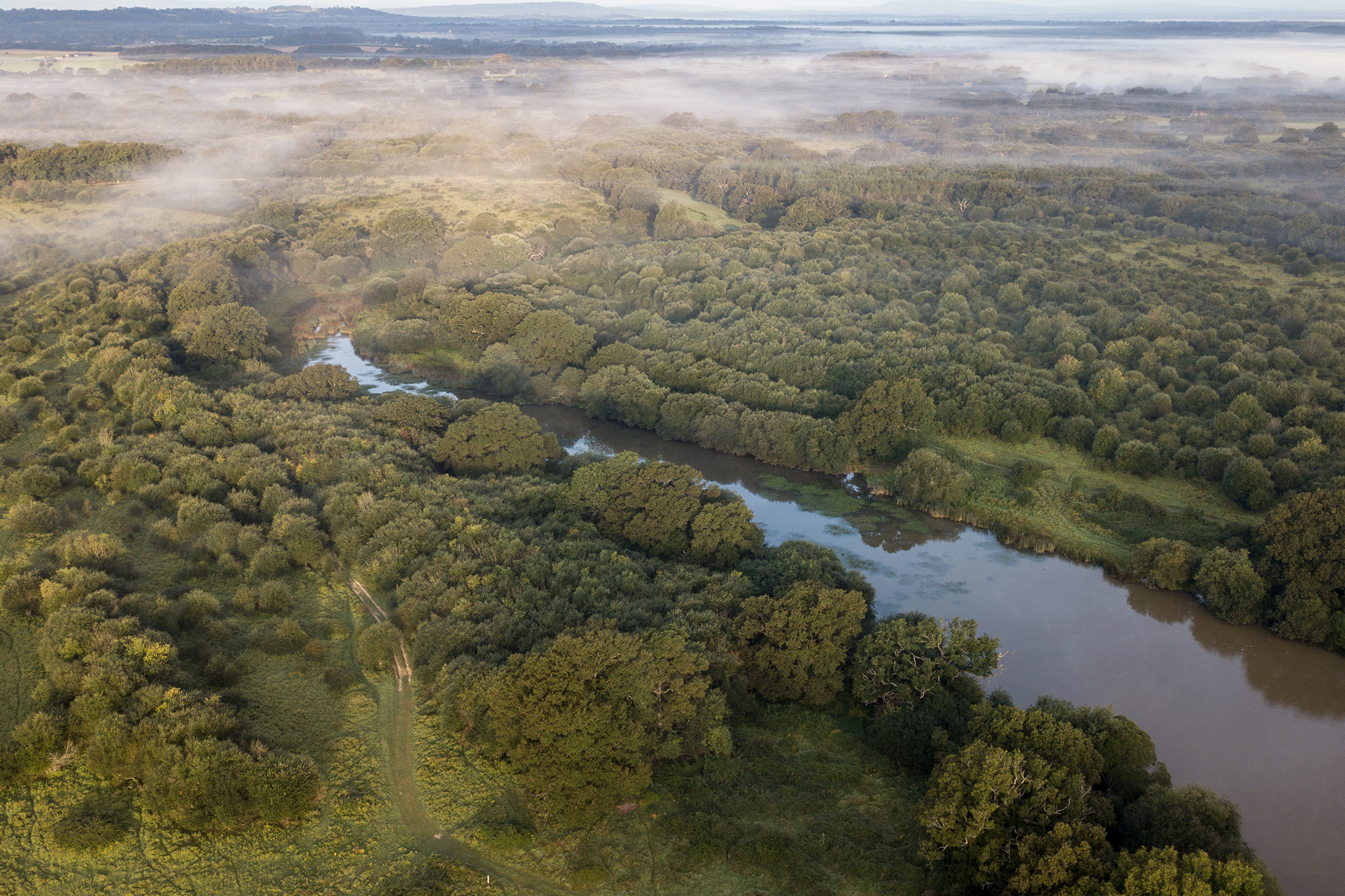 Aerial view of Knepp