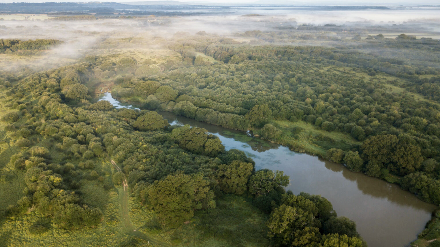 Aerial view of a winding river flowing through a forested landscape at Knepp Wildland.