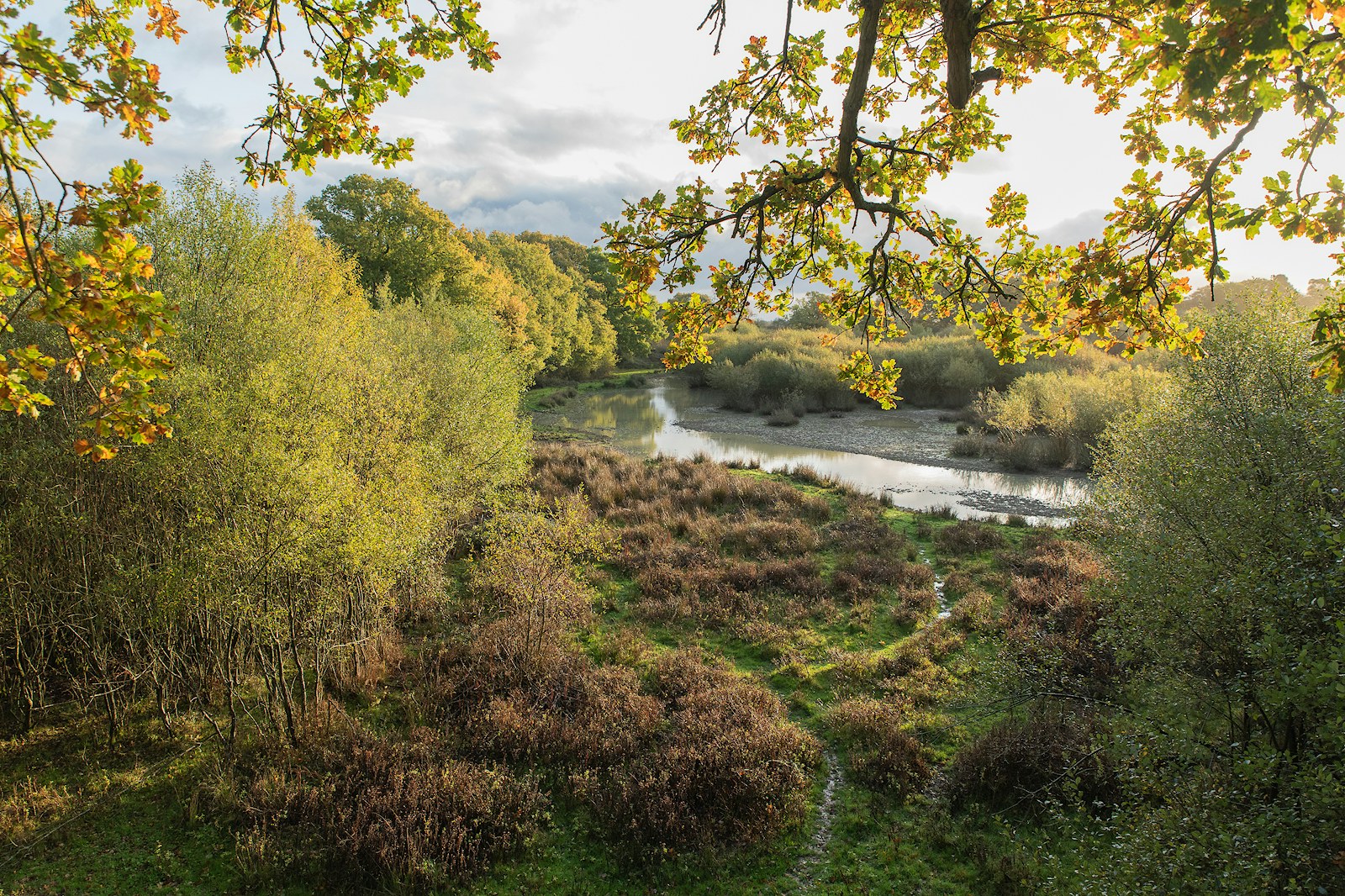 Knepp Wildlands in autumn