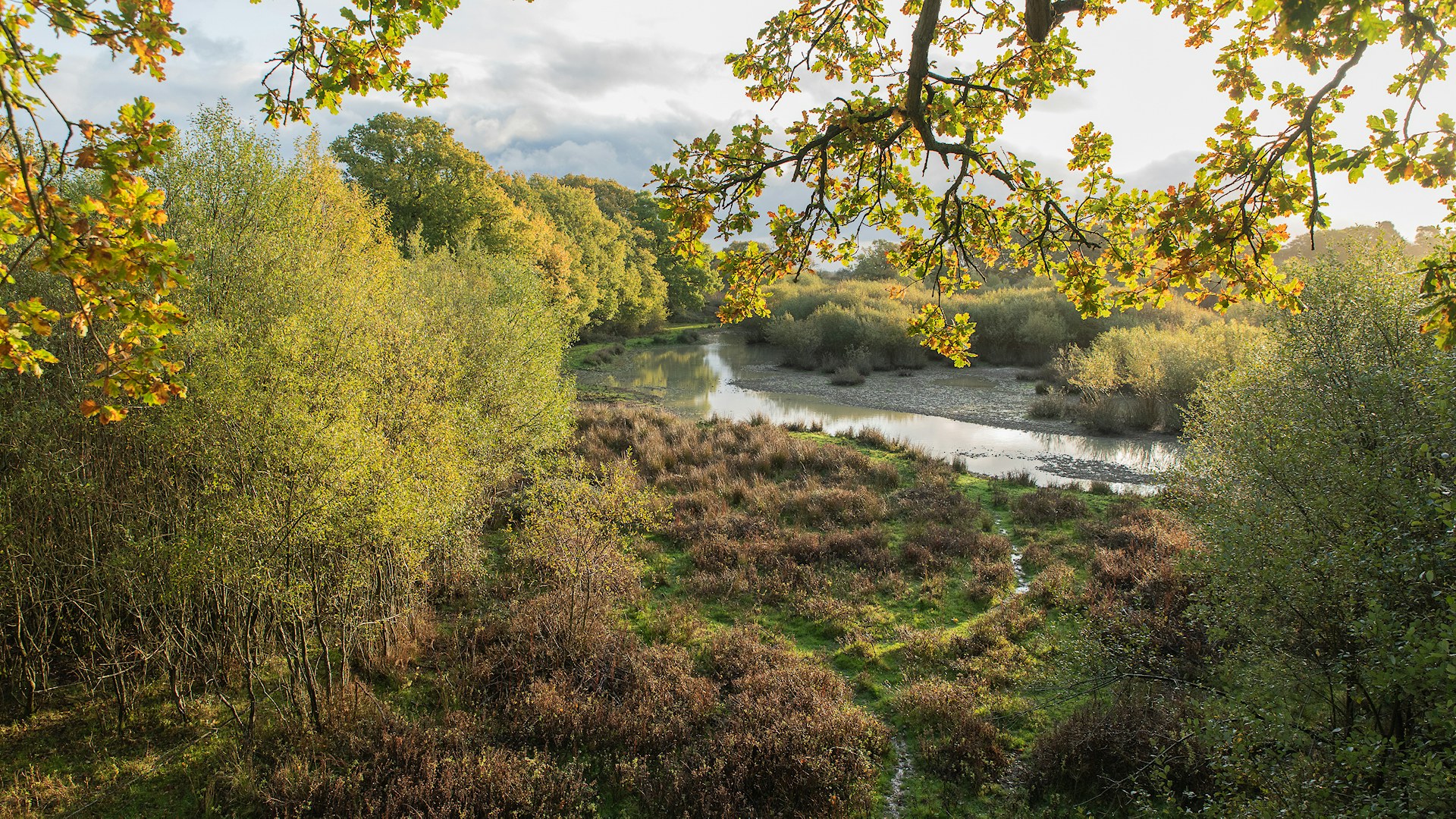 Knepp Wildlands in autumn