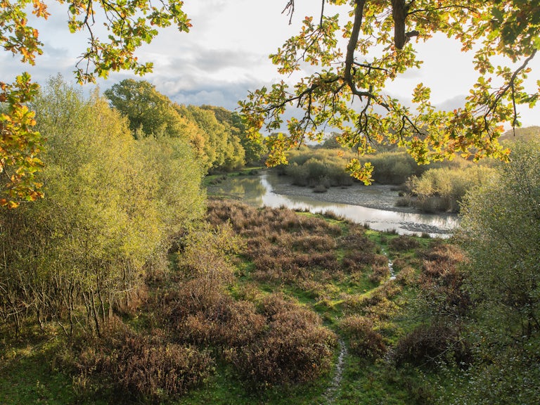 Knepp Wildlands in autumn