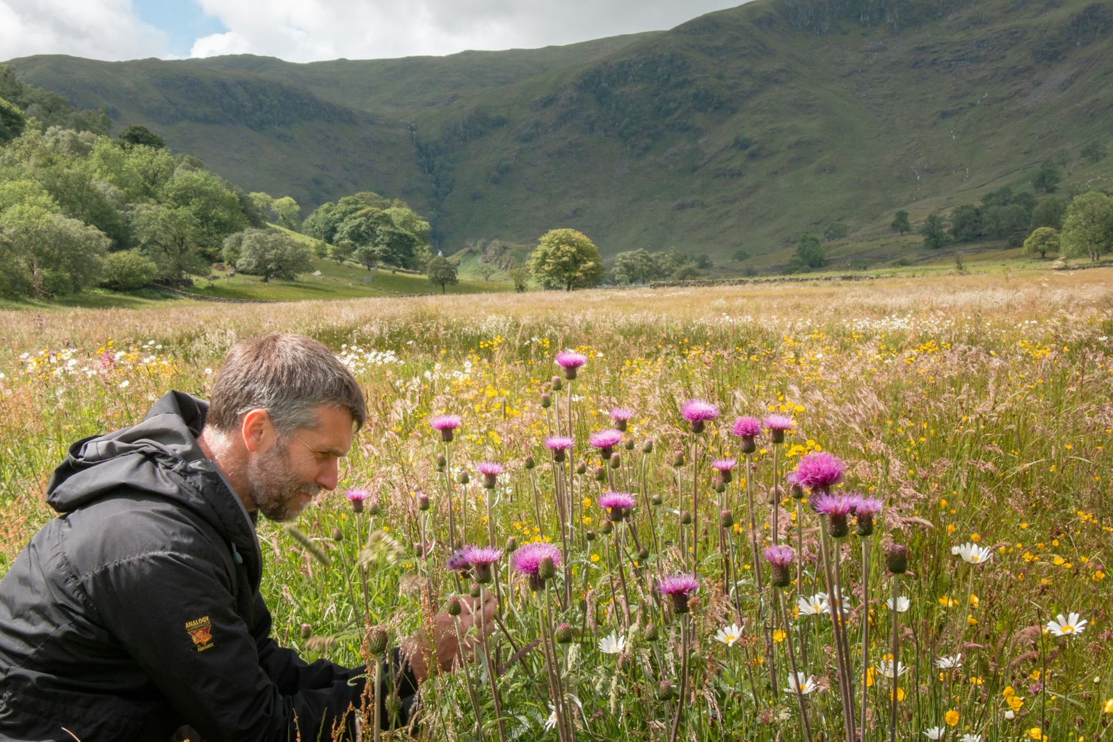 Lee schofield haweswater rewilding flowers