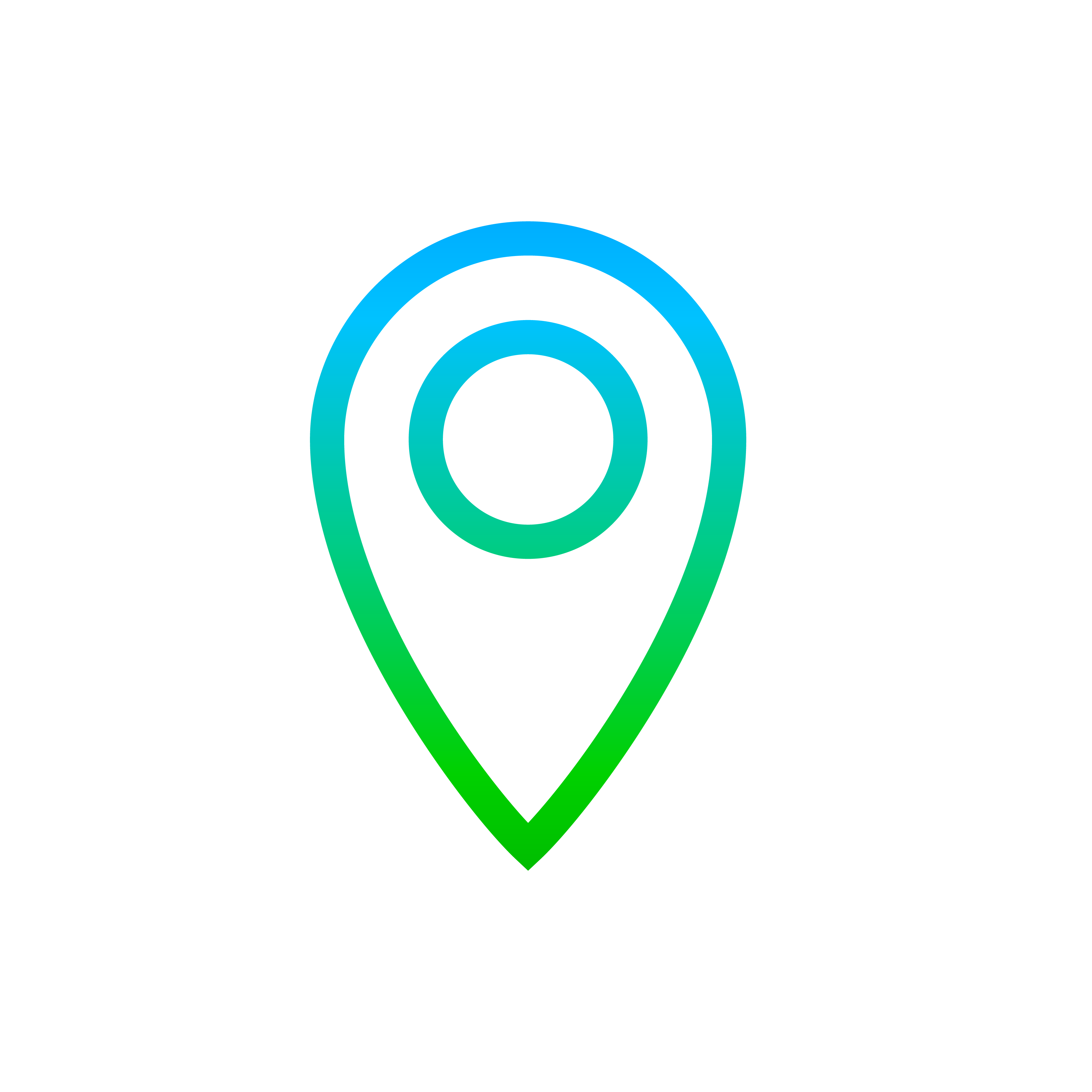 Location pinpoint icon