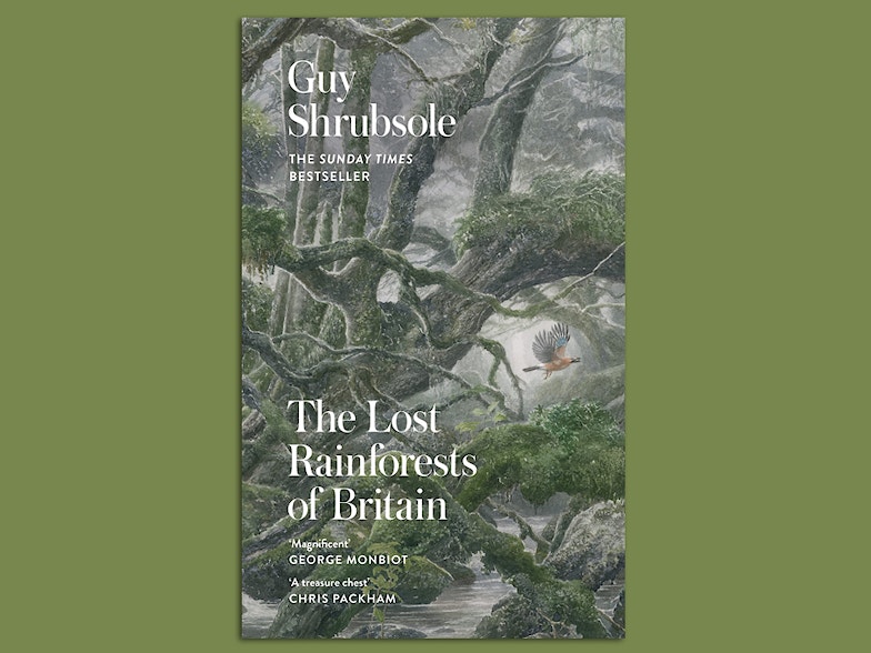 The Lost Rainforests of Britain book cover