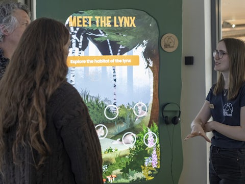 Lynx exhibition organised by The Missing Lynx Project