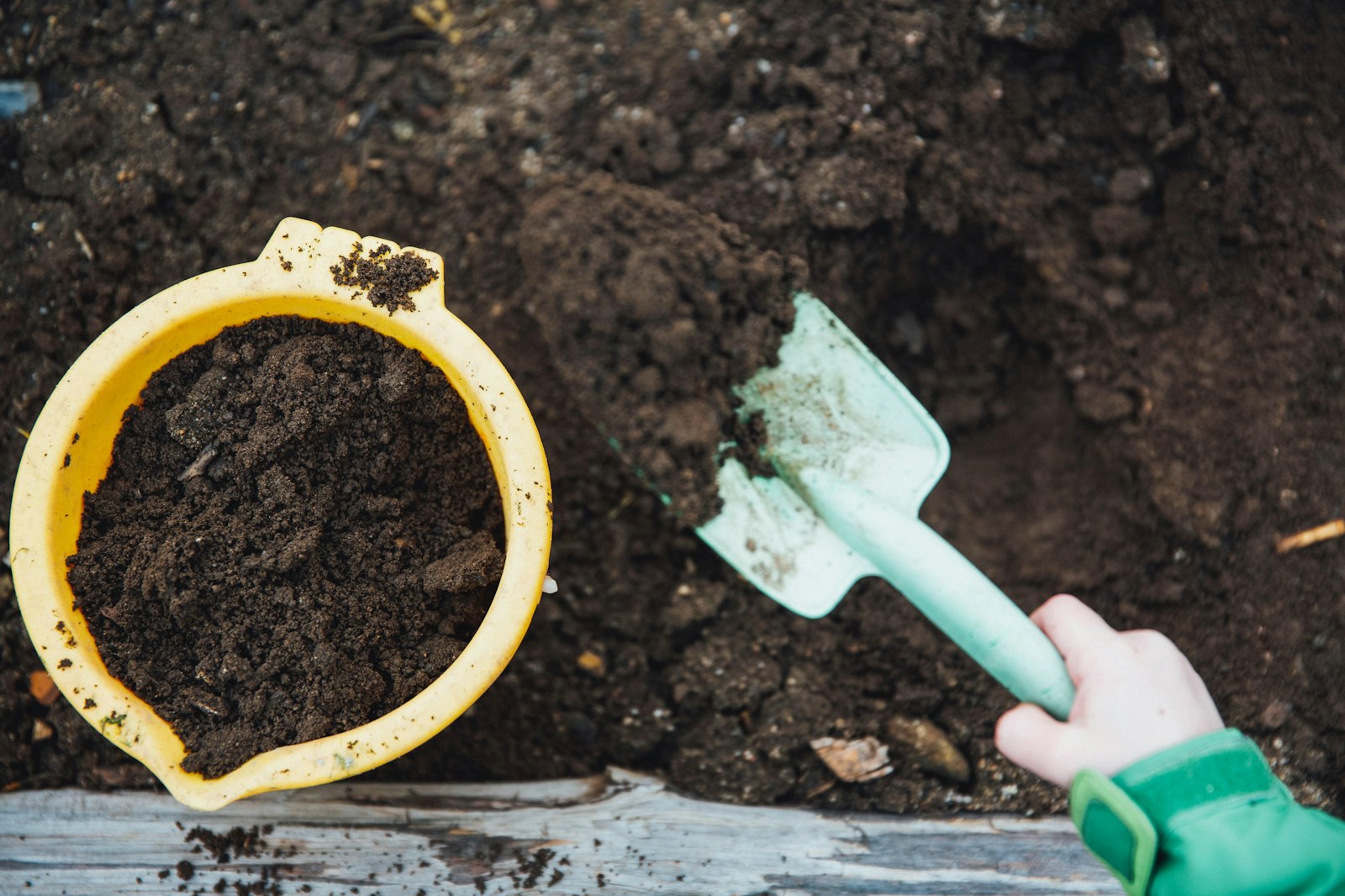 Child digging compost