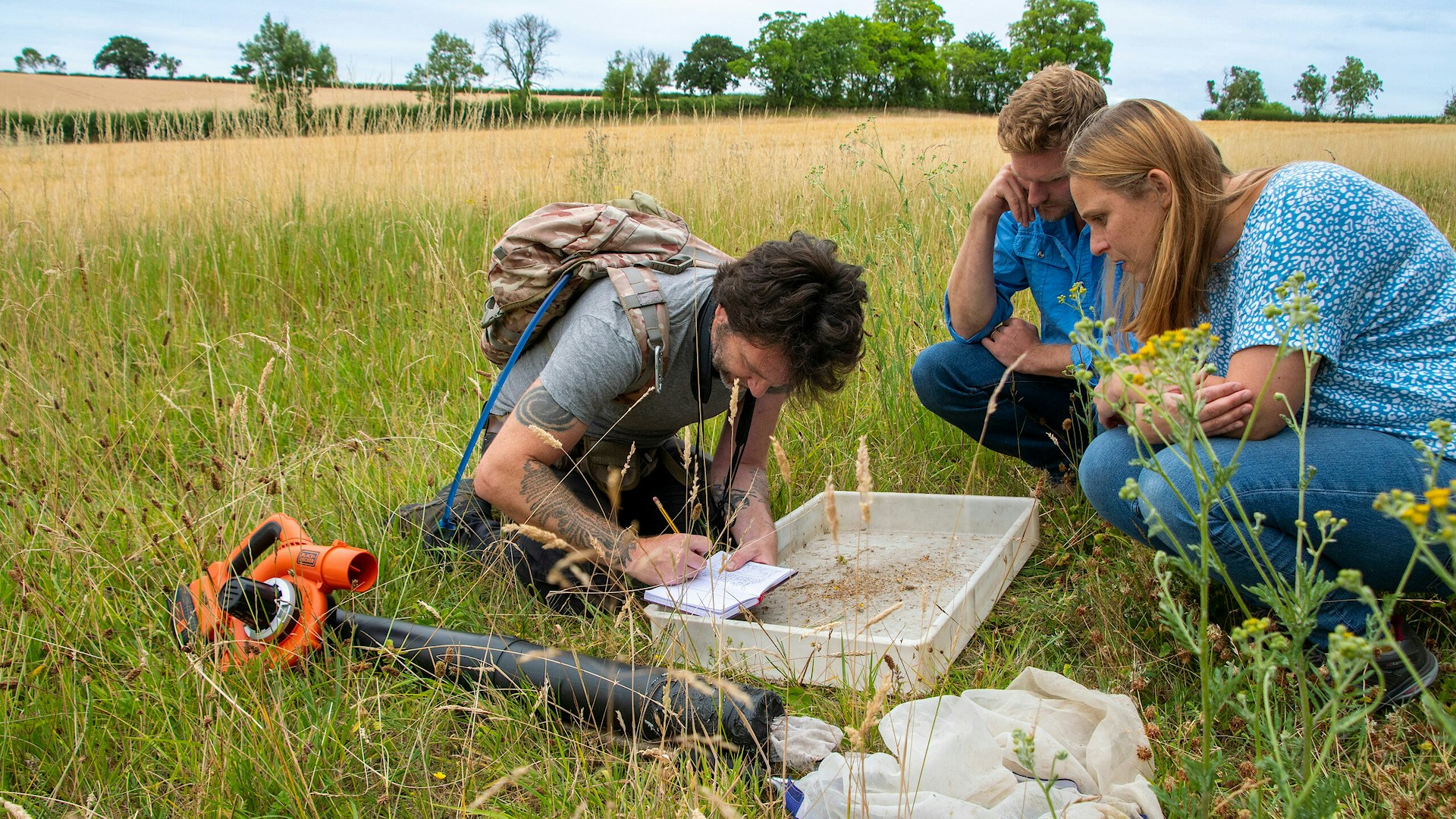 People monitoring a grassland