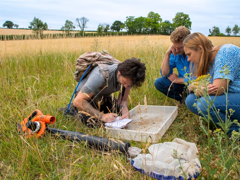 People monitoring a grassland