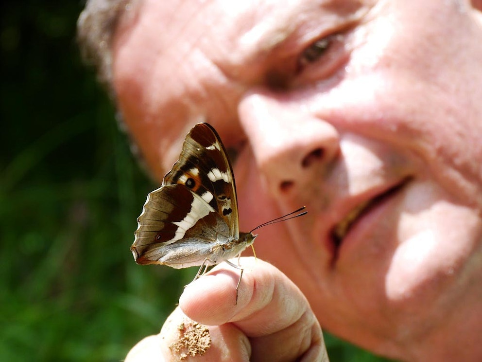 Man looking at butterfly Knepp