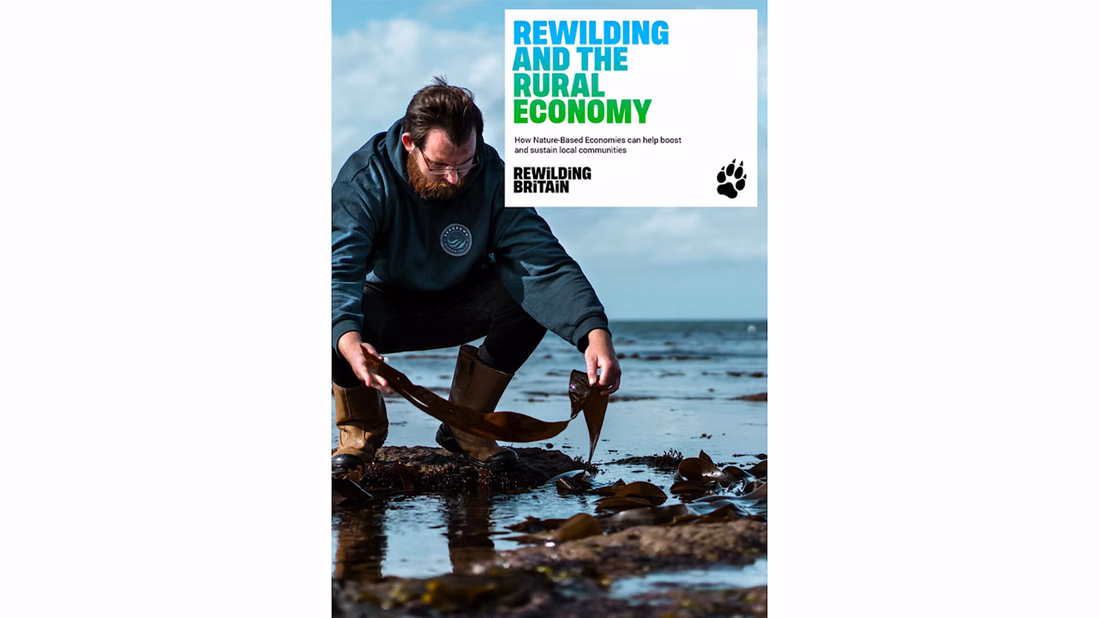 Front cover of Rewilding Britain's nature based economies report