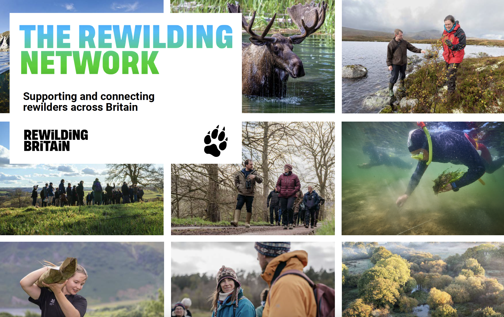 Network brochure cover