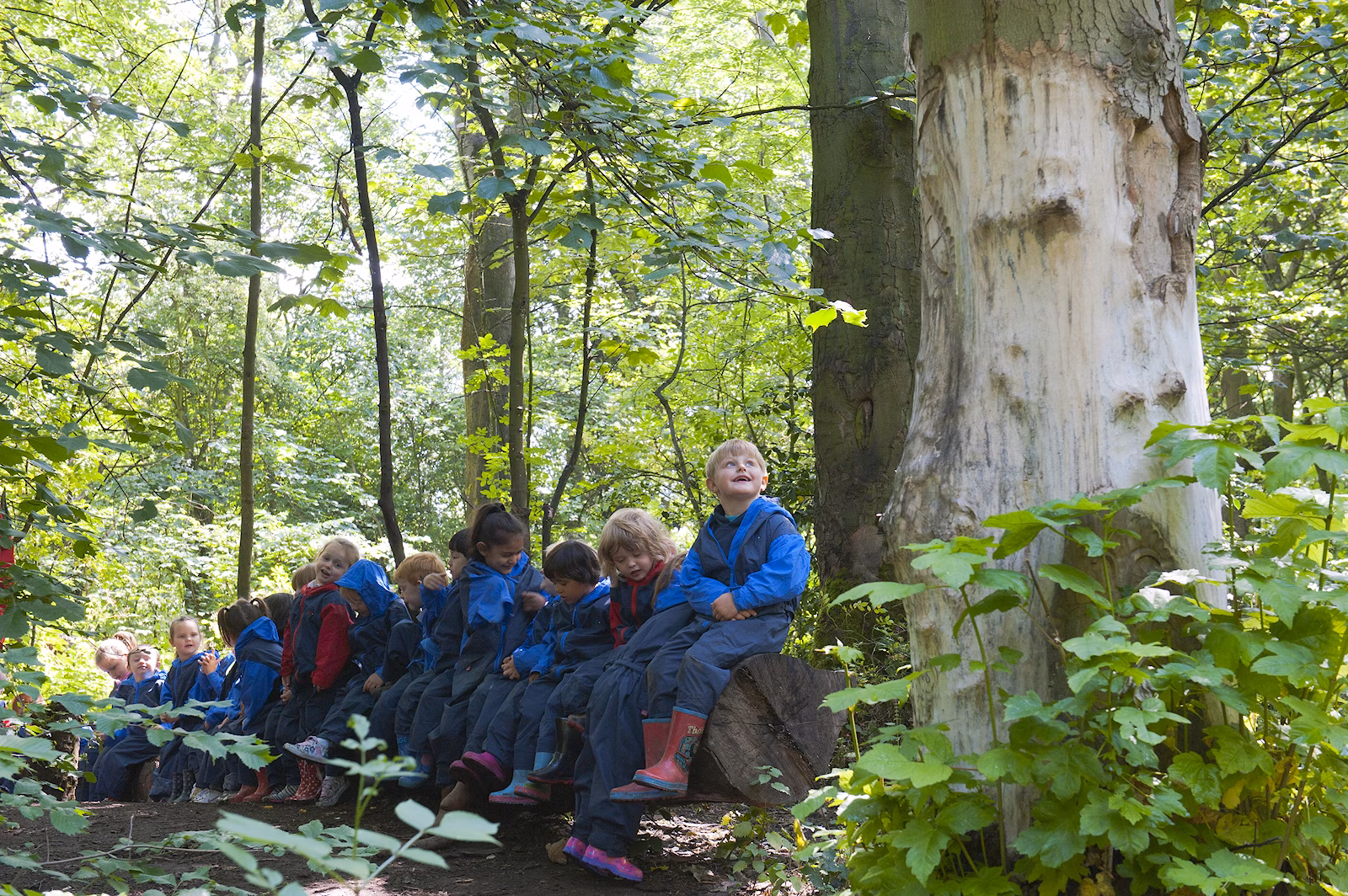 Nursery children in forest school