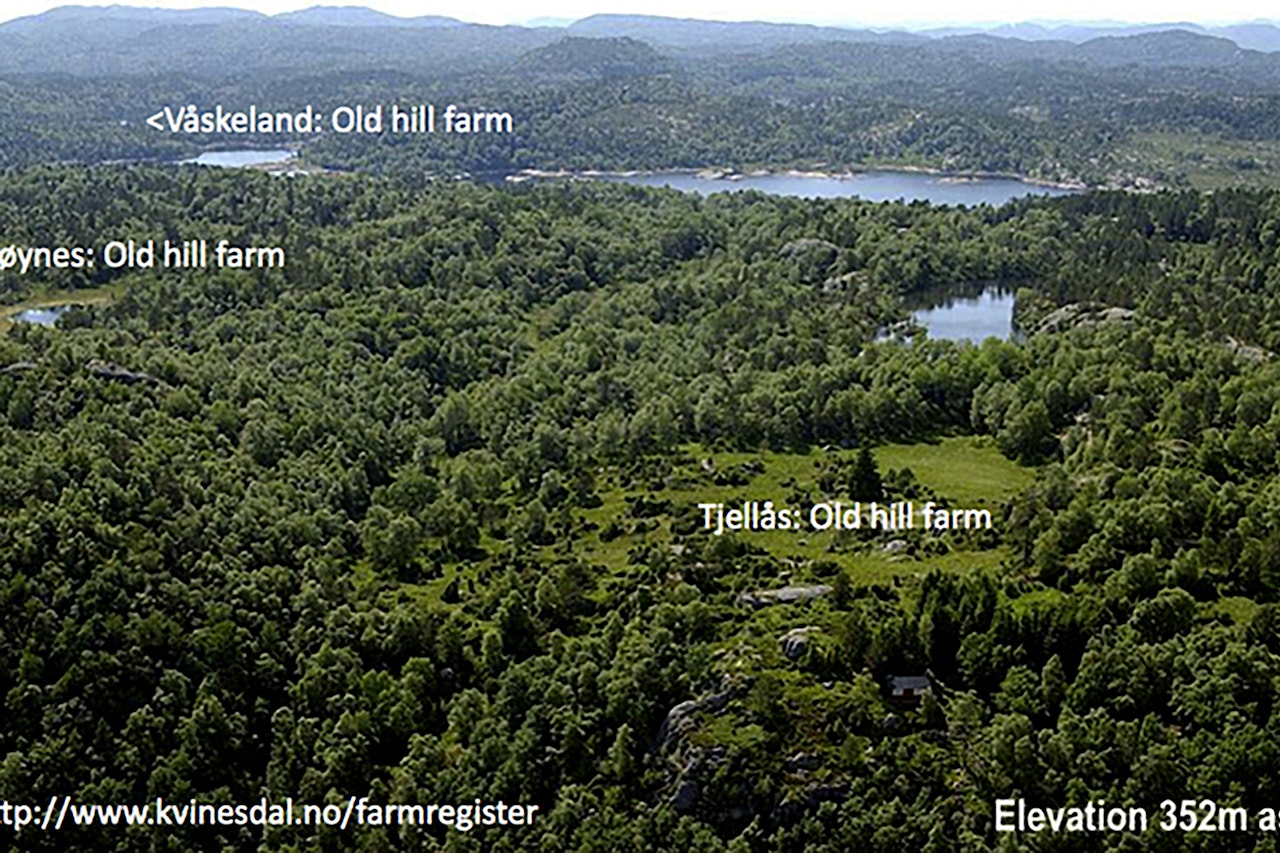 Old hill farms