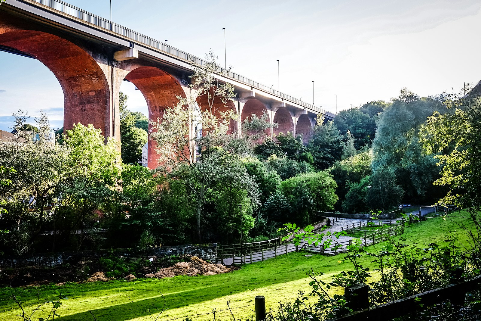 Ouseburn valley urban rewilding