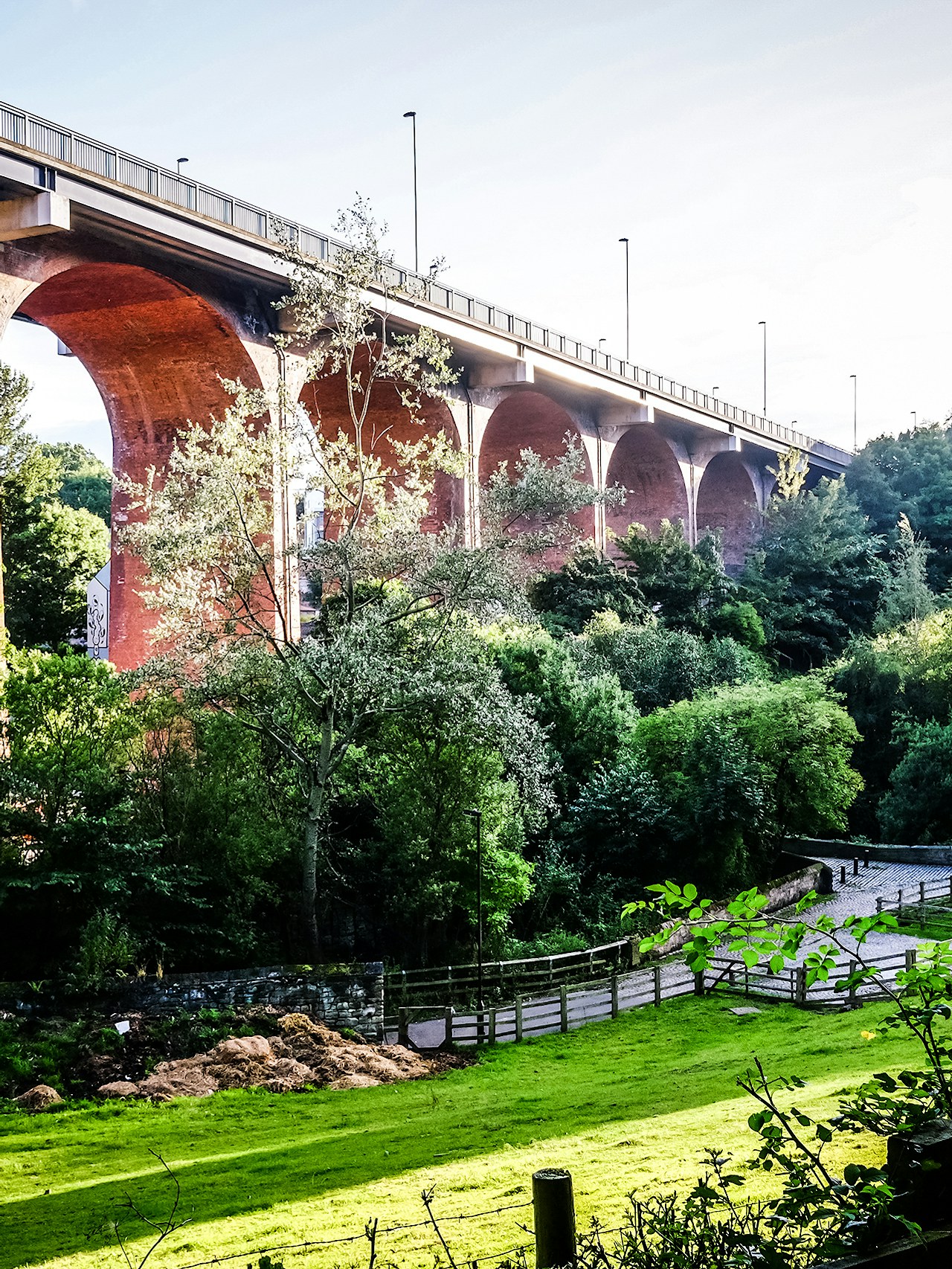 Ouseburn valley urban rewilding