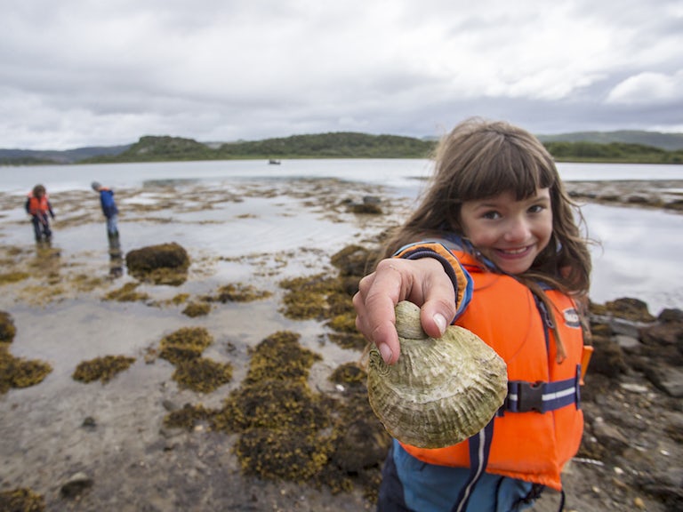 Child showing oyster as part of Seawilding's oyster reintroduction