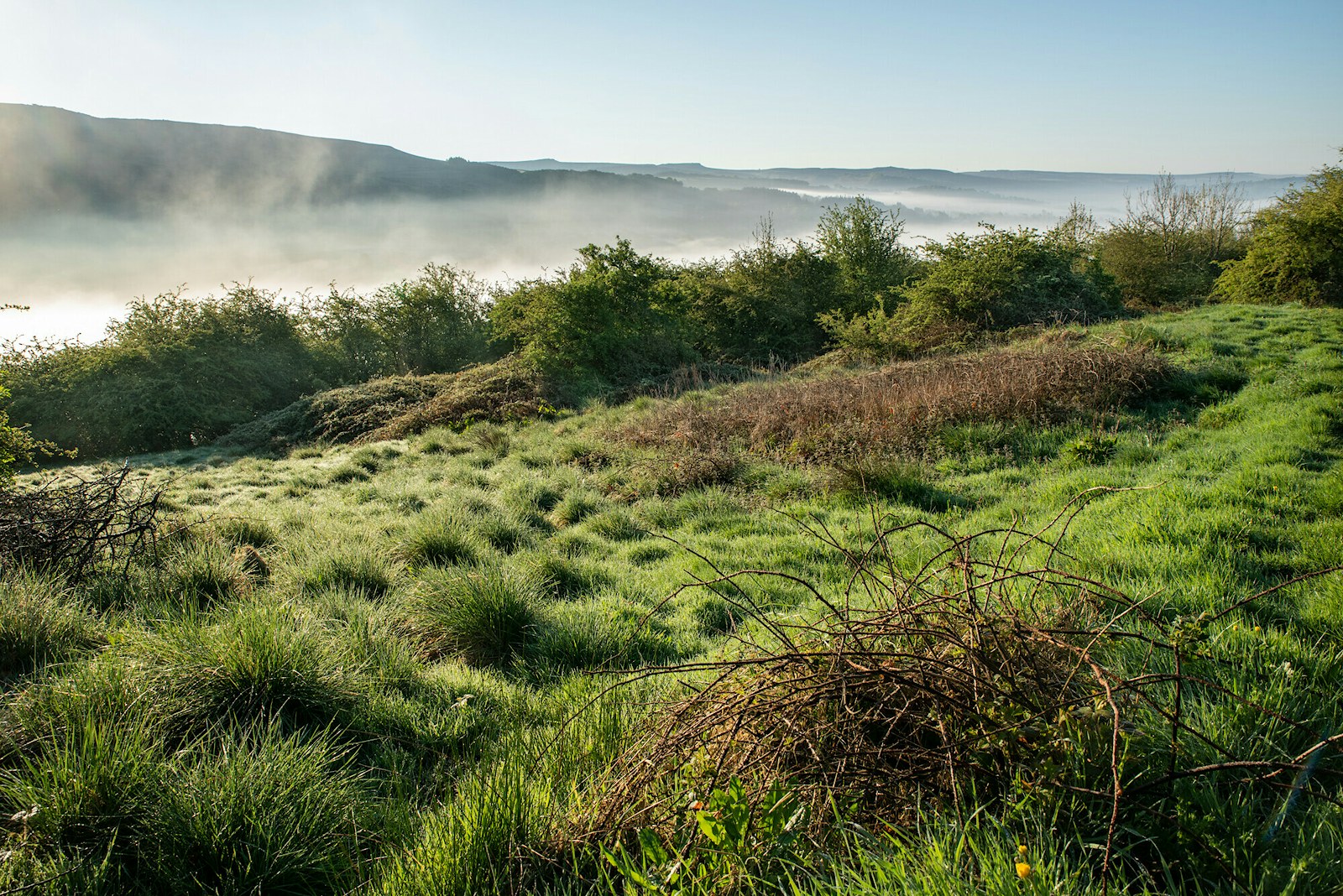 Thornhill Carrs Nature Reserve in the Peak District