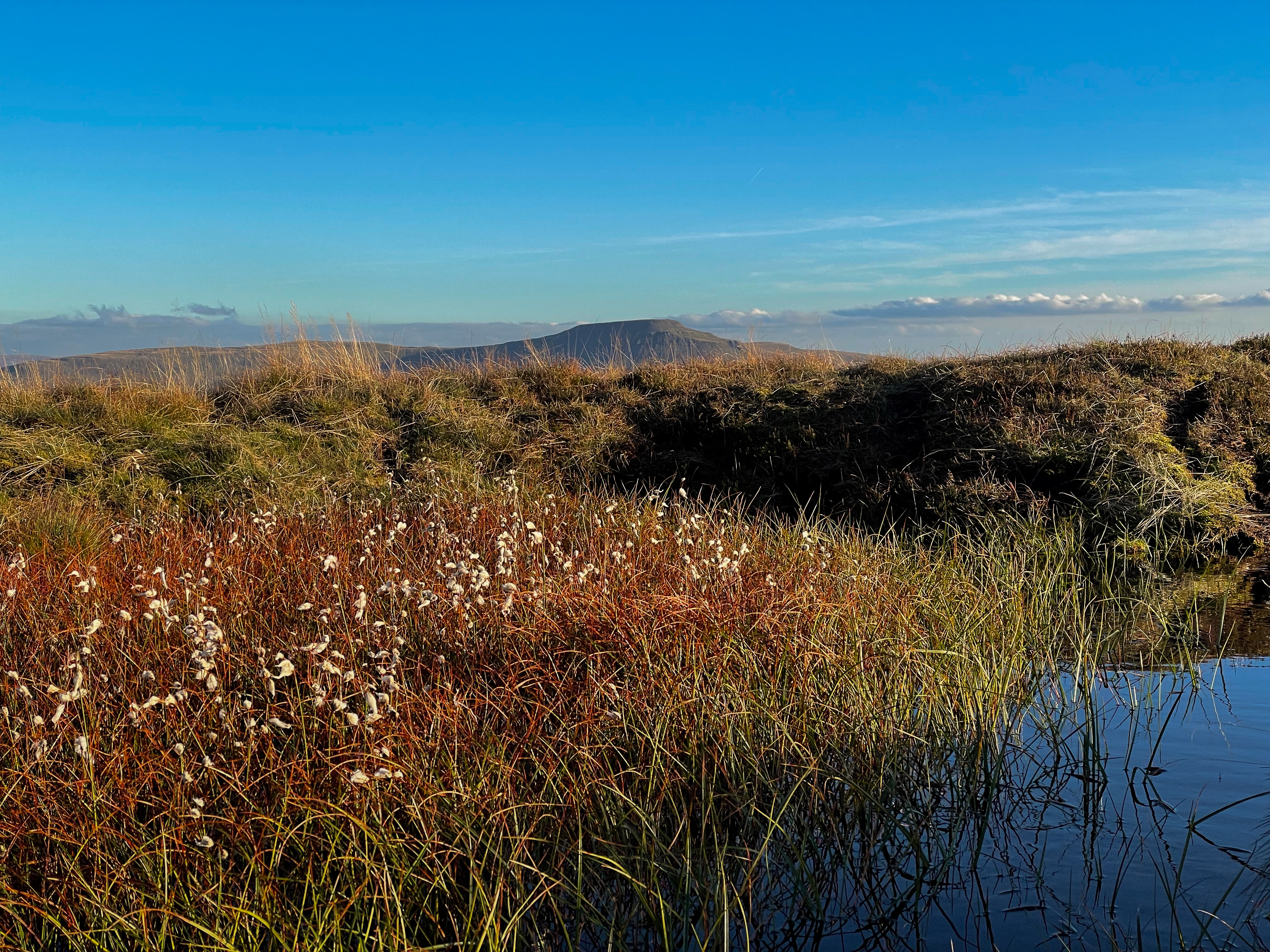 A reprofiled peat hagg and pool and a view towards Inglebrough (includes common cotton grass in the pool) at Kingsdale Head, Yorkshire.