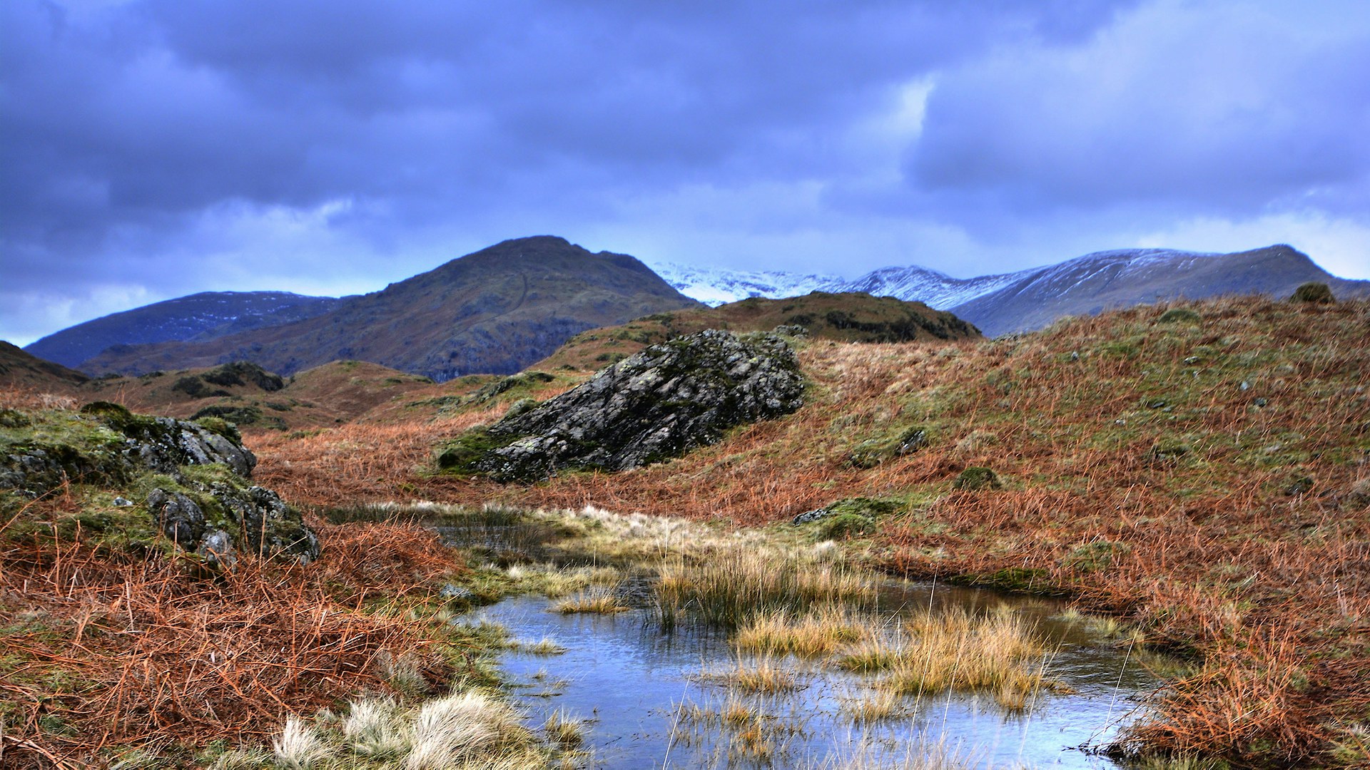 Tarn and grasses on Loughrigg Fell, Lake District National Park
