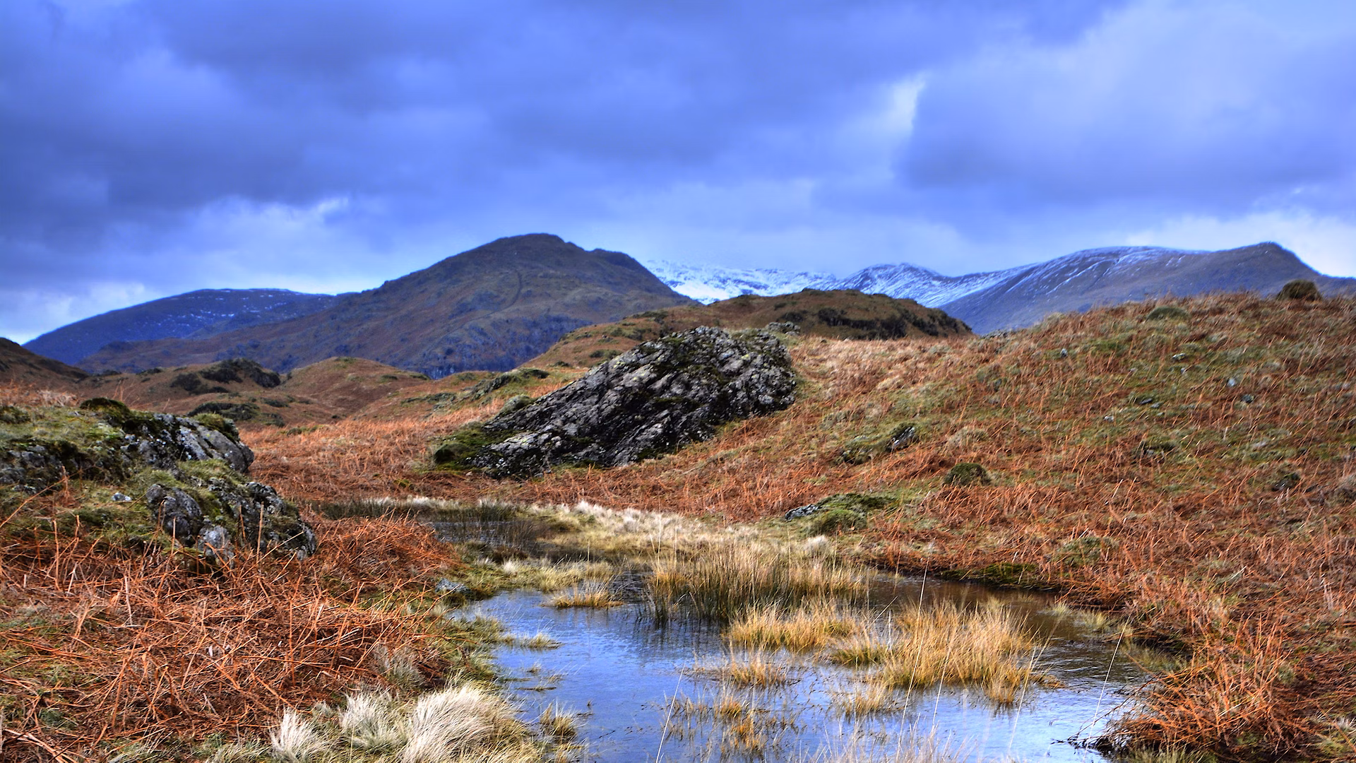 Tarn and grasses on Loughrigg Fell, Lake District National Park.