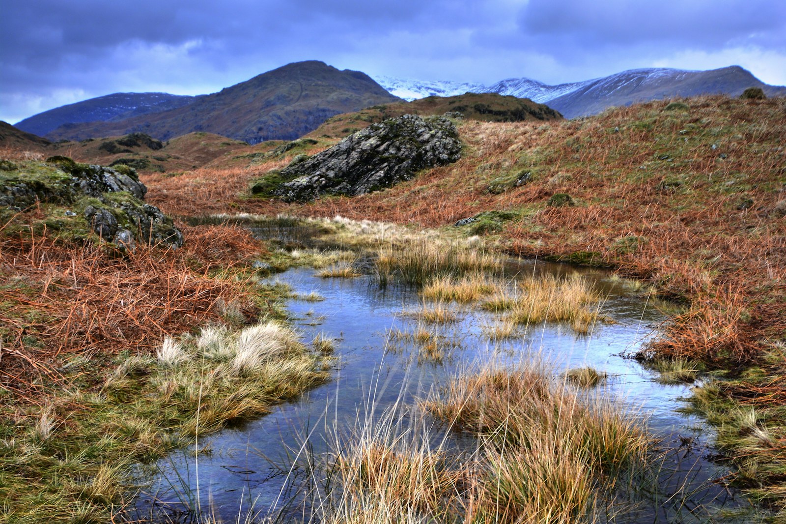 Lake District peatland bog