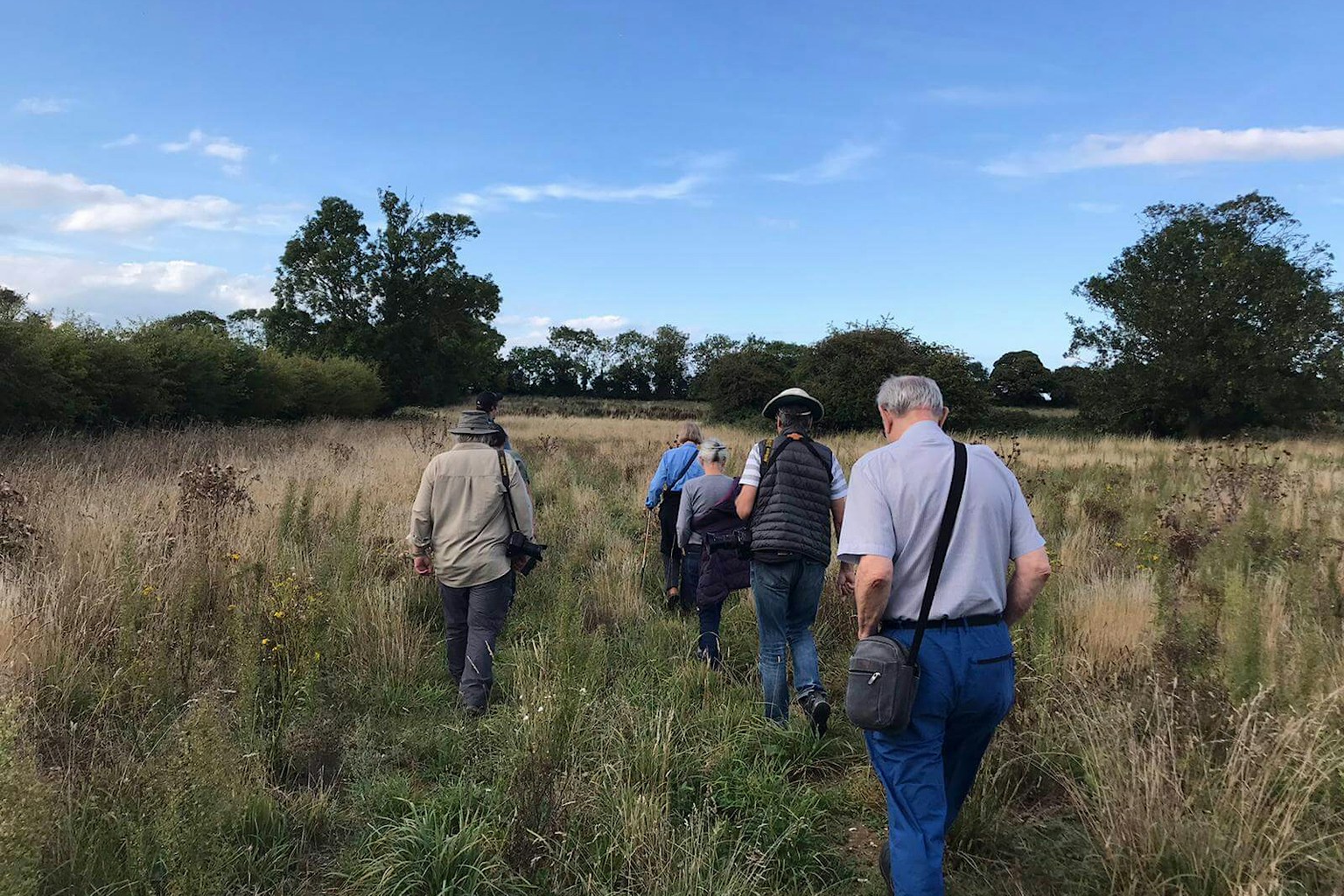 People walking through long grass at Wild Ken Hill