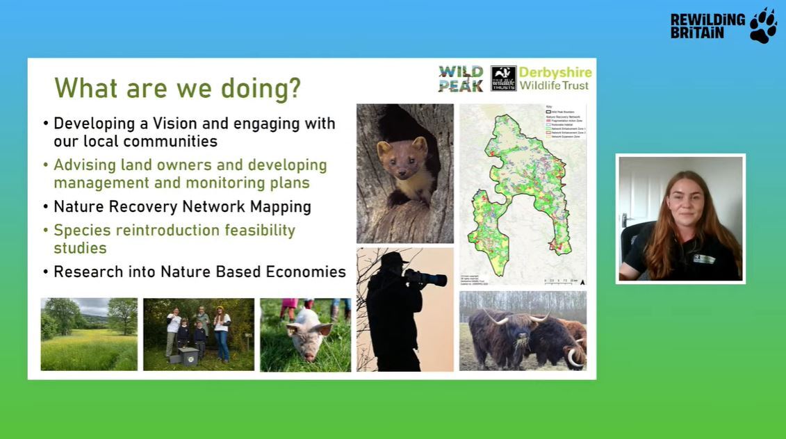 What are we doing? presentation slide