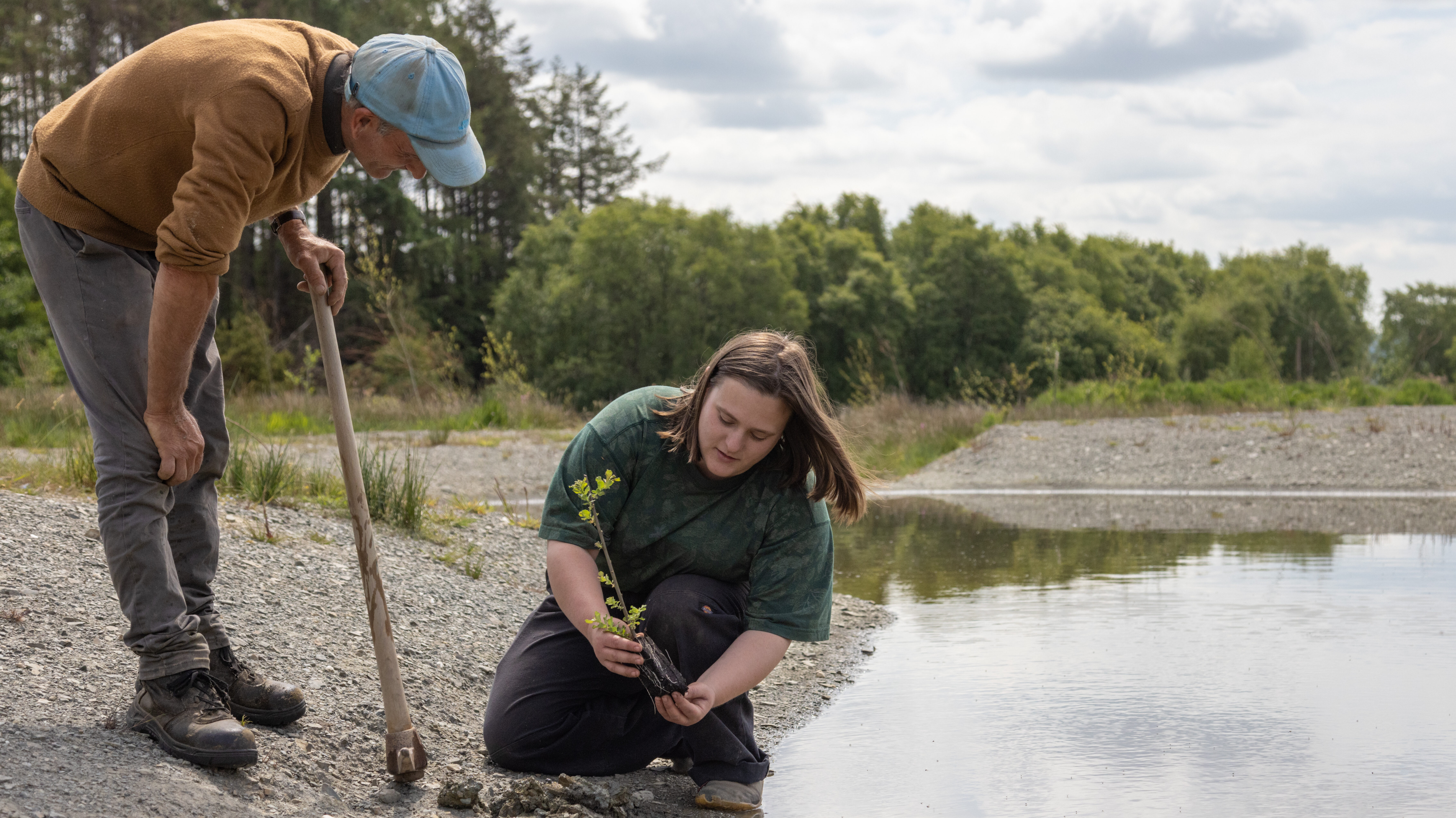 Planting near shallow lake