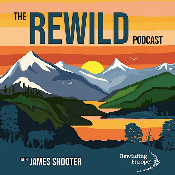 Illustration of mountains with the words "The Rewild podcast"
