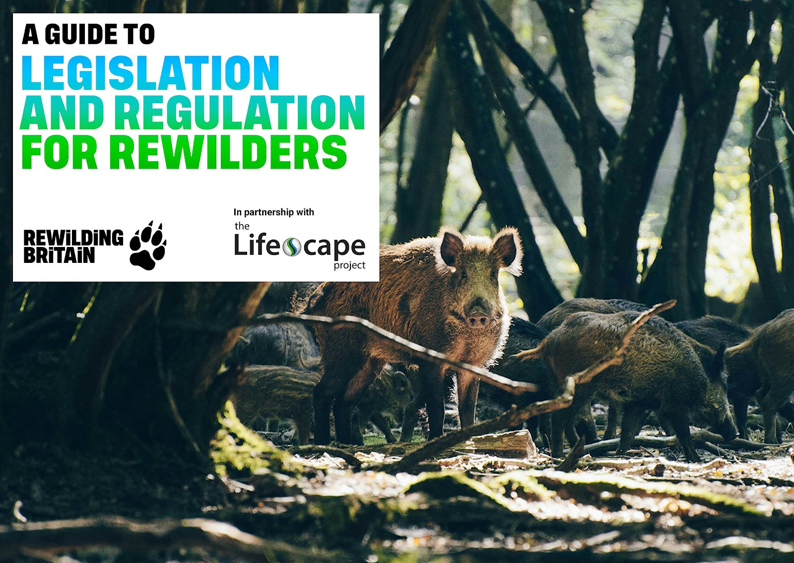 A guide to legislation and regulation for rewilders cover