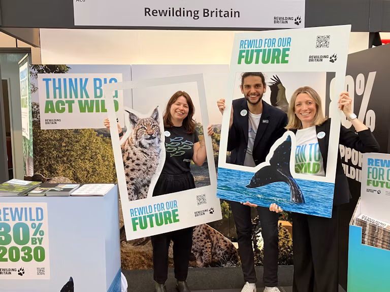 Rewilding Britain stand at the Labour conference 2024