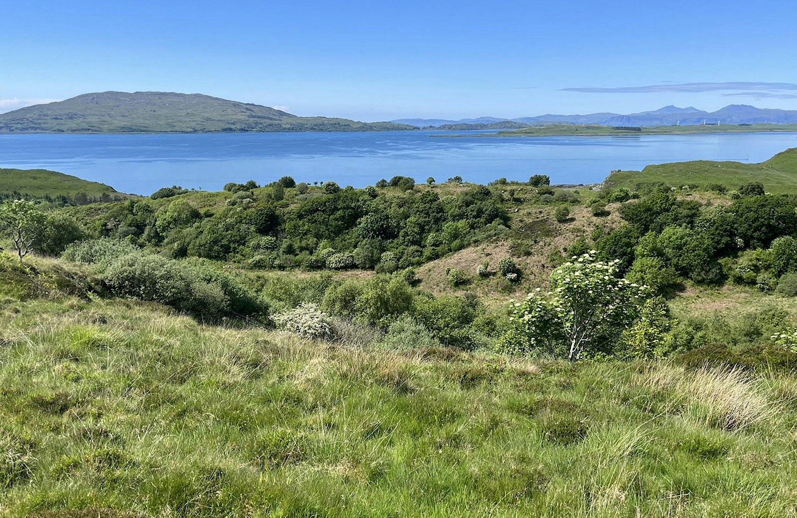 Rewilding Gartcaharron landscape