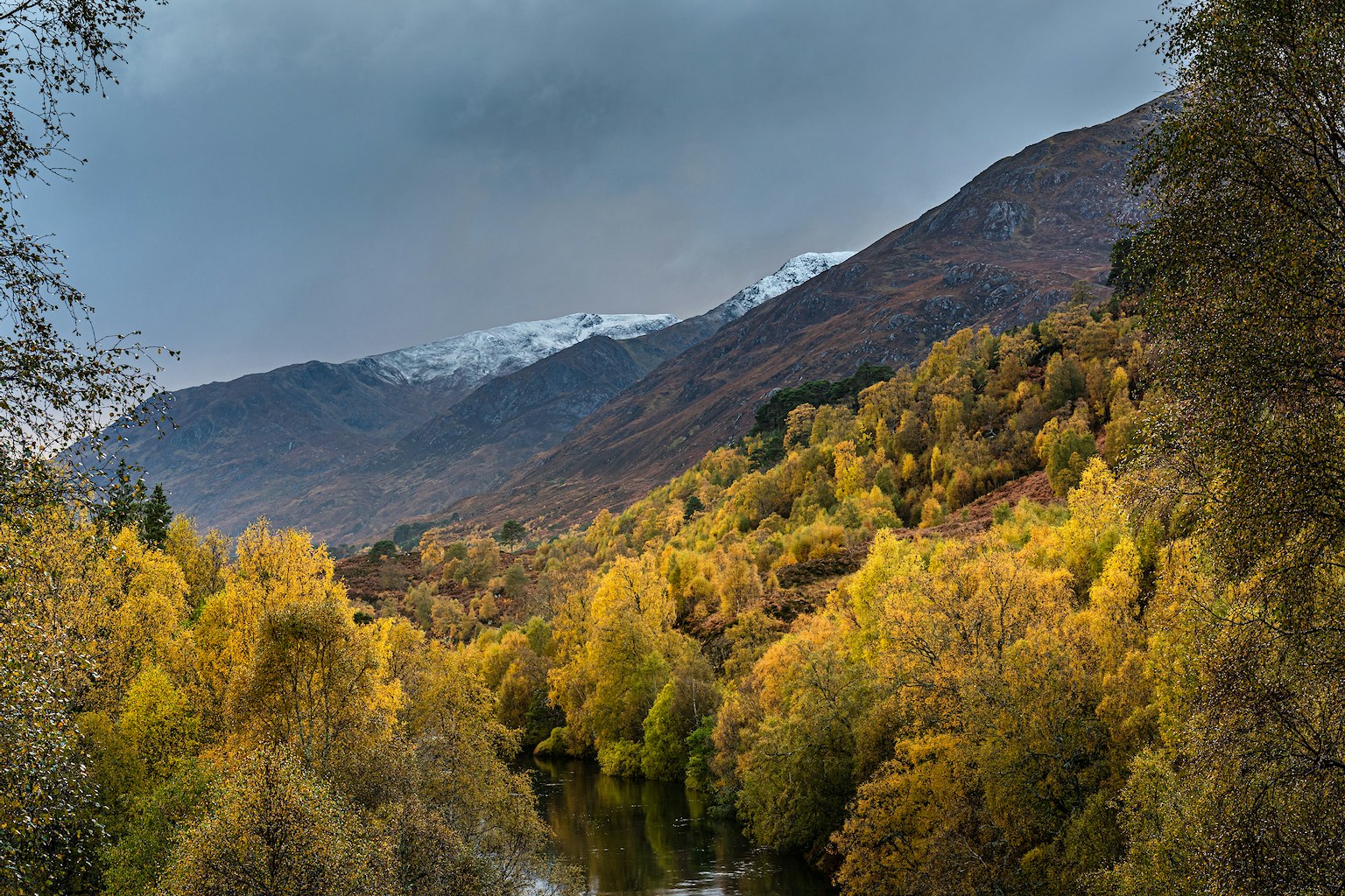 Rewilding glen affric