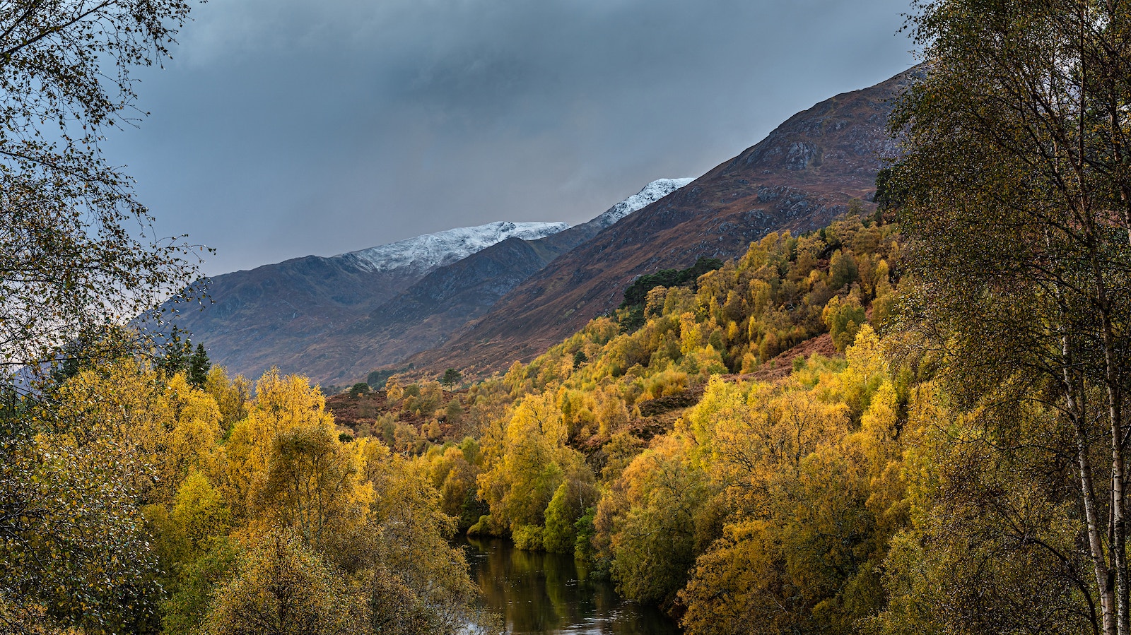 Rewilding glen affric