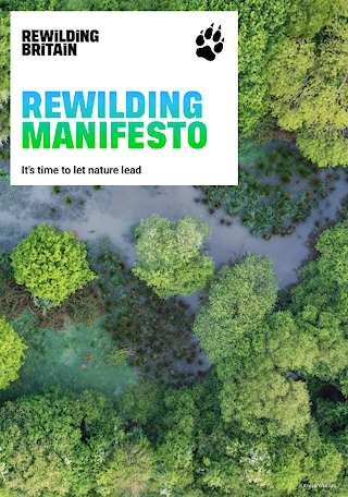Front cover of Rewilding Britain's Rewilding Manifesto, showing an aerial view of trees