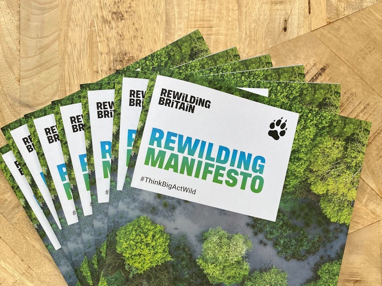 Pile of printed Rewilding Manifestos