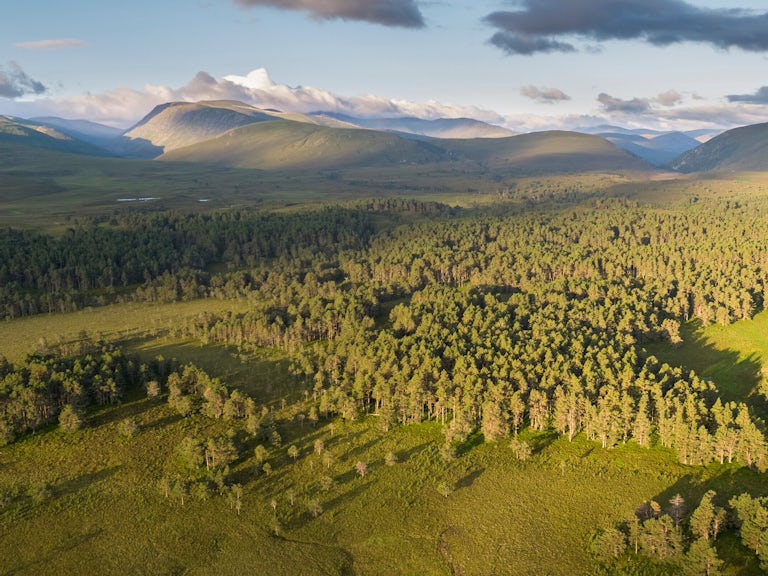 Landscape with trees and mountains in Scotland