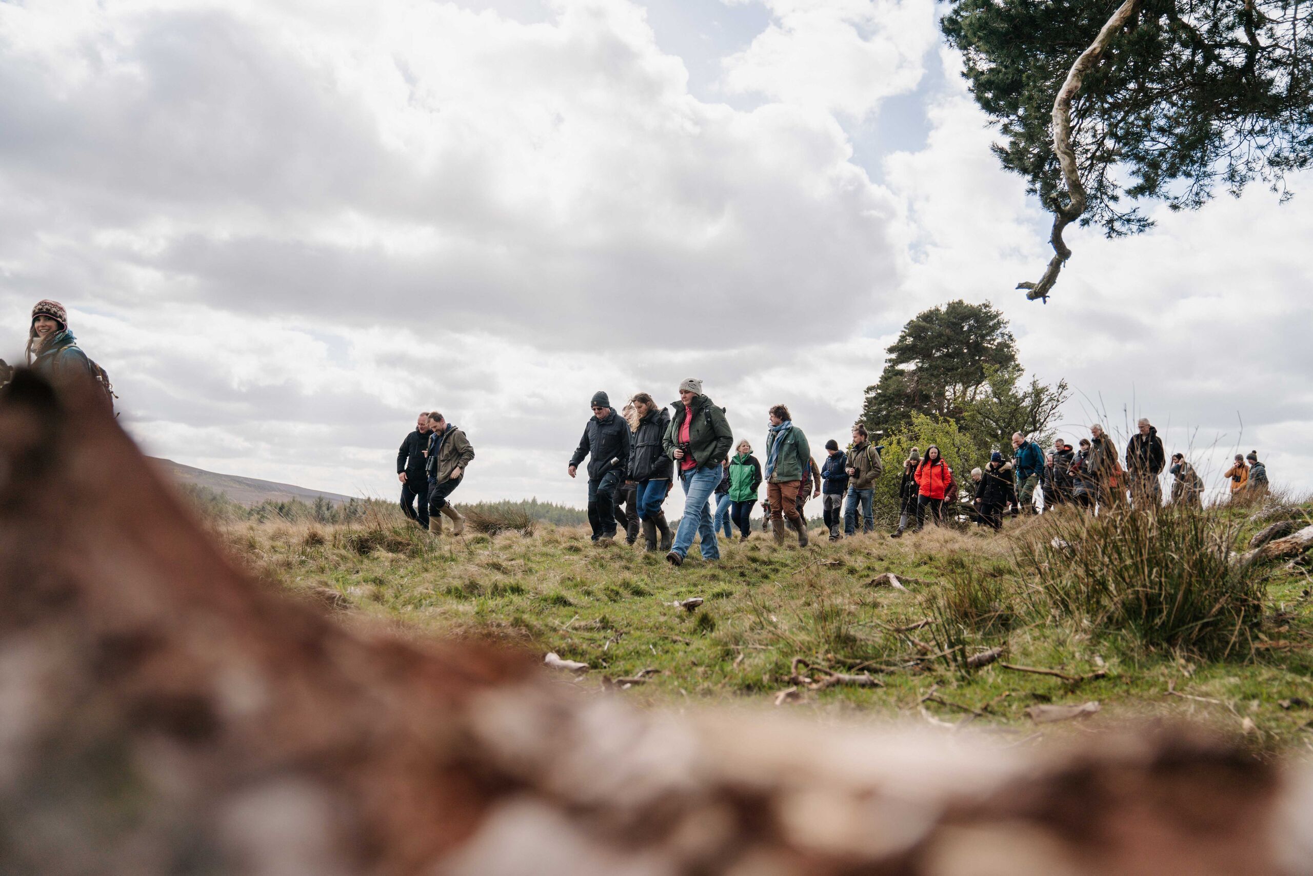 People walking in the distance, Hepple Wilds, Northumberland National Park